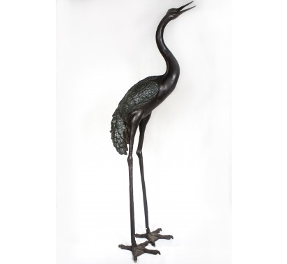 Black Heron