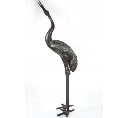 Black Heron image 2