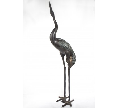 Black Heron image 3