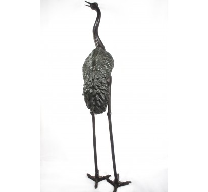 Black Heron image 4