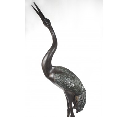 Black Heron image 5