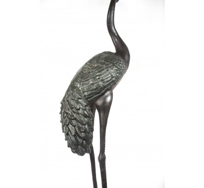 Black Heron image 7