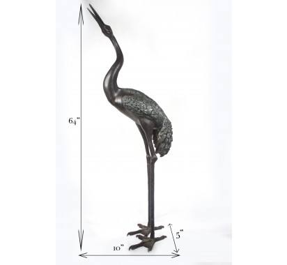 Black Heron image 9