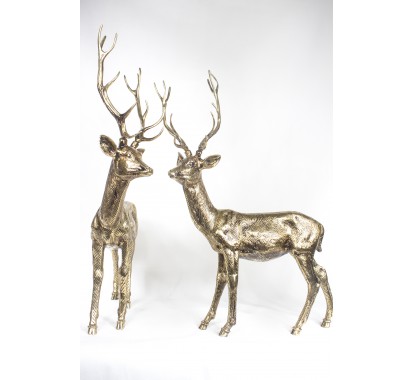 Gold Gazelle