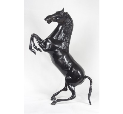 Small Black Horse