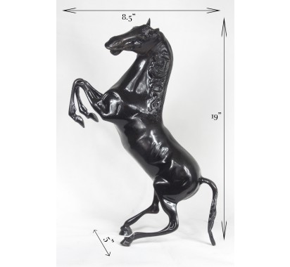 Small Black Horse image 5