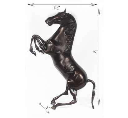 Small Brown Horse image 5